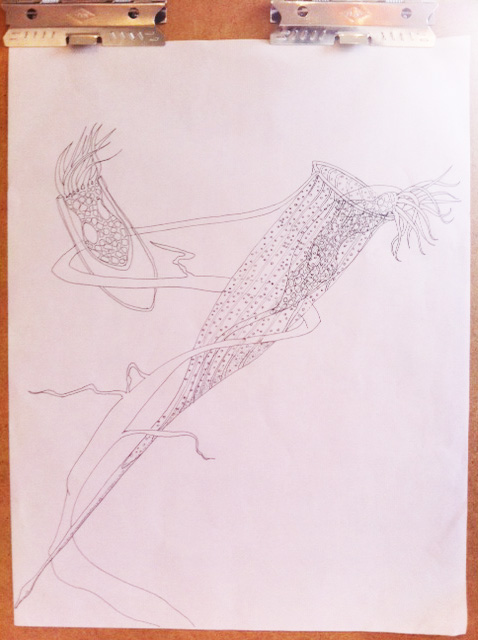 Mara's caption from Calamara.com: "Original working drawing for La Boheme, in this case Tintinnids ensnared in a ribbon of UV-degraded plastic."