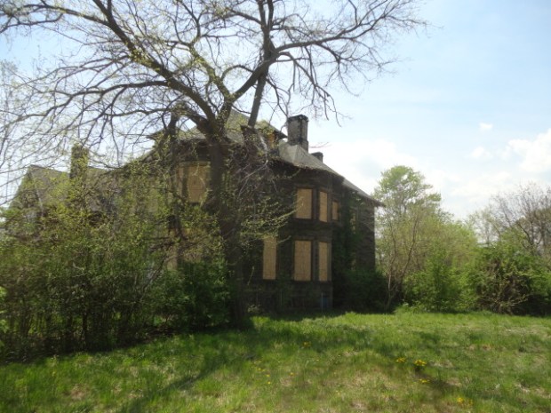 the field of field street