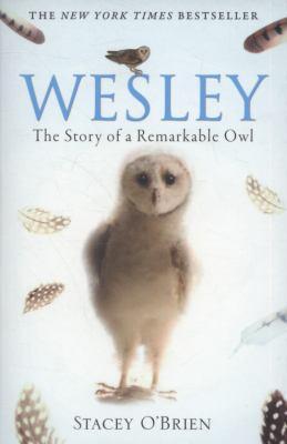 wesley-the-owl-the-remarkable-love-story-of-an-owl-and-his-girl
