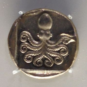 octopus coin crop